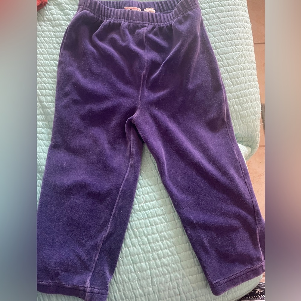 Talbots Kids pull on velour purple pants. Size 24 months. Pre worn